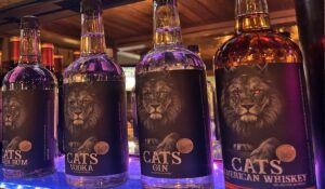 The Cats Spirits