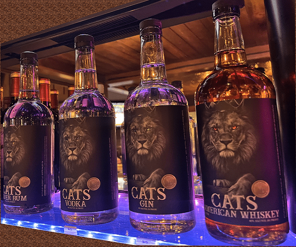 after-parties The Cats Spirits