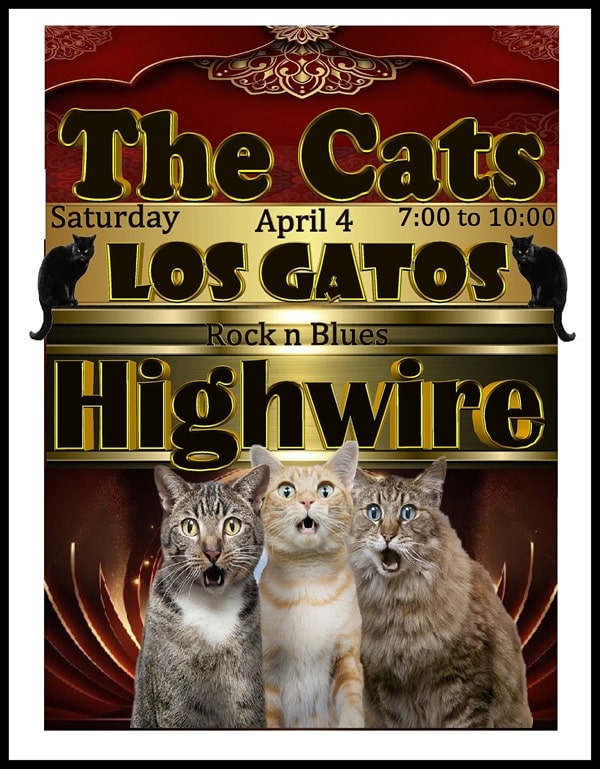 High Wire