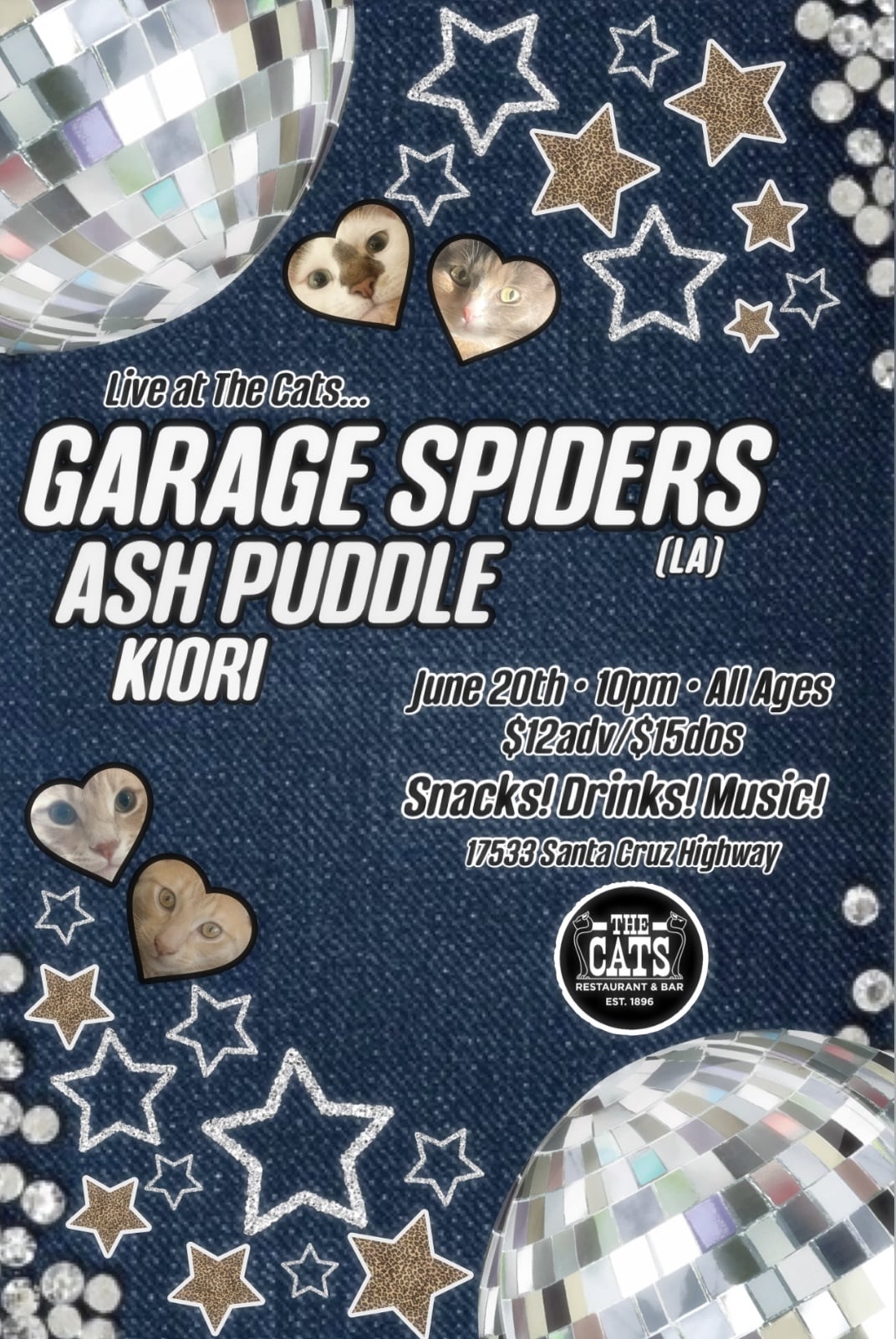 Garage Spiders