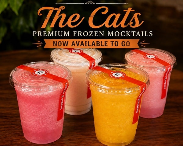 frozen drinks for catering - mango, strawberry, watermelon and orange